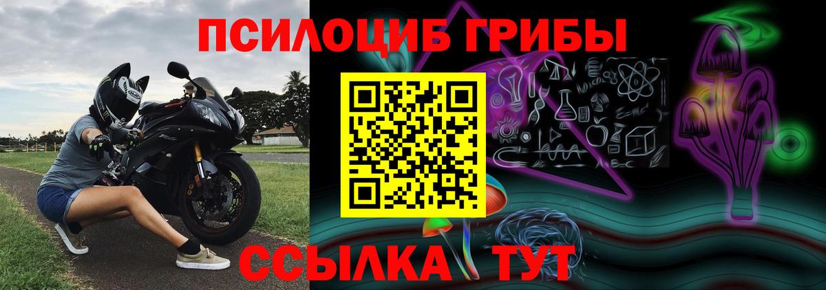 наркота  Псилоцибиновые грибы ЛСД  Миллерово  Вход с VPN  Галлюциногенные грибы Magic Shrooms 